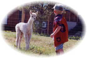 Tyler and Lucas