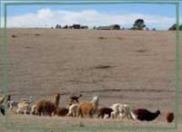 Link to Ranch Location